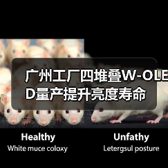 广州工厂四堆叠W-OLED量产提升亮度寿命（图1）