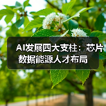 AI发展四大支柱：芯片数据能源人才布局（图3）