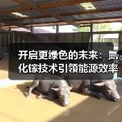 开启更绿色的未来：氮化镓技术引领能源效率革命（图4）