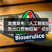 美国发布“人工智能扩散出口管制框架”临时最终规则（图2）