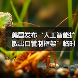 美国发布“人工智能扩散出口管制框架”临时最终规则（图1）