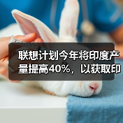联想计划今年将印度产量提高40%，以获取印度补贴机会（图2）