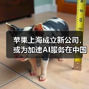 苹果上海成立新公司，或为加速AI服务在中国落地（图2）