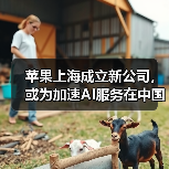 苹果上海成立新公司，或为加速AI服务在中国落地（图4）