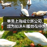 苹果上海成立新公司，或为加速AI服务在中国落地（图3）