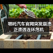 哪吒汽车官网突发崩溃，正遭遇连环危机（图2）