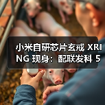 小米自研芯片玄戒 XRING 现身：配联发科 5G 基带，有望 4 月随新机首发（图1）