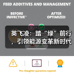 英飞凌：踏“绿”前行，引领能源变革新时代（图2）