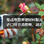 集成电路关键材料取消进口环节消费税，湖北企业将退税逾1500万元（图2）