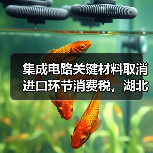 集成电路关键材料取消进口环节消费税，湖北企业将退税逾1500万元（图1）