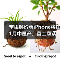 苹果廉价版iPhone将在1月中量产，富士康紧急招工（图2）