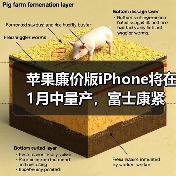 苹果廉价版iPhone将在1月中量产，富士康紧急招工（图1）