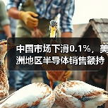中国市场下滑0.1%，美洲地区半导体销售额持续增长（图1）