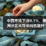 中国市场下滑0.1%，美洲地区半导体销售额持续增长（图3）