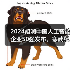2024胡润中国人工智能企业50强发布，寒武纪位列第一（图4）