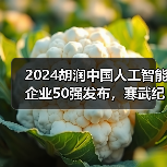 2024胡润中国人工智能企业50强发布，寒武纪位列第一（图3）