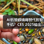 AI智能眼镜将替代智能手机？CES 2025给出了一些答案（图4）