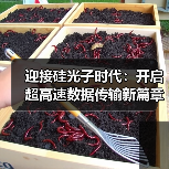 迎接硅光子时代：开启超高速数据传输新篇章（图2）