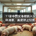 11家中国实体被纳入实体清单，美资禁止投资中国三个行业（图2）