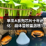 苹果A系列芯片十年进化：晶体管数量激增19倍，晶圆成本跃升300%（图1）