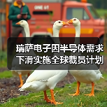 瑞萨电子因半导体需求下滑实施全球裁员计划（图2）
