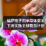 瑞萨电子因半导体需求下滑实施全球裁员计划（图4）