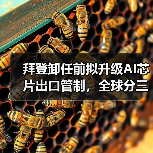 拜登卸任前拟升级AI芯片出口管制，全球分三个等级（图4）