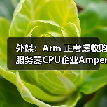 外媒：Arm 正考虑收购服务器CPU企业Ampere Computing（图1）