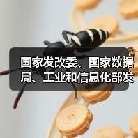 国家发改委、国家数据局、工业和信息化部发布《国家数据基础设施建设指引》（图2）