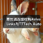 恩智浦连续收购Aviva Links与TTTech Auto，拓展智驾版图（图3）