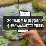 2025年全球将启动18个新的晶圆厂项目建设，中国有5个（图4）