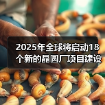 2025晶圆厂建设热潮：AI驱动半导体行