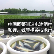 中国调整制造电池组件和锂、镓等相关技术出口限制（图1）