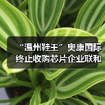 “温州鞋王”奥康国际终止收购芯片企业联和存储,复牌后股价跌停(图3) “温州鞋王”奥康国际终止收购芯片企业联和存储,复牌后股价跌停(图3)