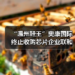 “温州鞋王”奥康国际终止收购芯片企业联和存储,复牌后股价跌停(图1) “温州鞋王”奥康国际终止收购芯片企业联和存储,复牌后股价跌停(图1)