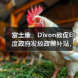 富士康、Dixon敦促印度政府发放政策补贴,称符合分配资金资格(图3) 富士康、Dixon敦促印度政府发放政策补贴,称符合分配资金资格(图3)