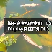 提升亮度和寿命期!LG Display将在广州OLED工厂量产四堆叠W-OLED面板(图3) 提升亮度和寿命期!LG Display将在广州OLED工厂量产四堆叠W-OLED面板(图3)