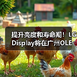 提升亮度和寿命期!LG Display将在广州OLED工厂量产四堆叠W-OLED面板(图2) 提升亮度和寿命期!LG Display将在广州OLED工厂量产四堆叠W-OLED面板(图2)