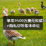 苹果9500万美元和解Siri隐私窃听集体诉讼(图2) 苹果9500万美元和解Siri隐私窃听集体诉讼(图2)
