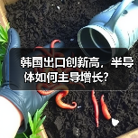 韩国出口创新高,半导体如何主导增长?(图2) 韩国出口创新高,半导体如何主导增长?(图2)