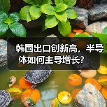 韩国出口创新高,半导体如何主导增长?(图4) 韩国出口创新高,半导体如何主导增长?(图4)