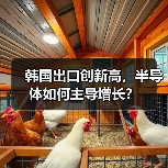 韩国出口创新高,半导体如何主导增长?(图3) 韩国出口创新高,半导体如何主导增长?(图3)