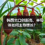 韩国出口创新高,半导体如何主导增长?(图1) 韩国出口创新高,半导体如何主导增长?(图1)