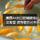 美国AI出口管制被批过度监管 或导致芯片市场拱手让给中国(图3) 美国AI出口管制被批过度监管 或导致芯片市场拱手让给中国(图3)