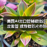 美国AI出口管制被批过度监管 或导致芯片市场拱手让给中国(图4) 美国AI出口管制被批过度监管 或导致芯片市场拱手让给中国(图4)