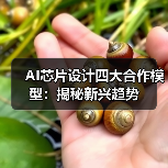 AI芯片设计四大合作模型:揭秘新兴趋势(图3) AI芯片设计四大合作模型:揭秘新兴趋势(图3)