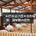 AI芯片设计四大合作模型:揭秘新兴趋势(图2) AI芯片设计四大合作模型:揭秘新兴趋势(图2)