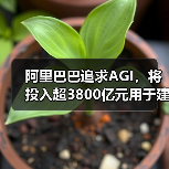 阿里巴巴追求AGI,将投入超3800亿元用于建设云和AI硬件基础设施(图1) 阿里巴巴追求AGI,将投入超3800亿元用于建设云和AI硬件基础设施(图1)