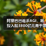阿里巴巴追求AGI,将投入超3800亿元用于建设云和AI硬件基础设施(图3) 阿里巴巴追求AGI,将投入超3800亿元用于建设云和AI硬件基础设施(图3)