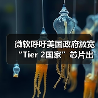 微软呼吁美国政府放宽“Tier 2国家”芯片出口管制,平衡安全与商业利益(图2) 微软呼吁美国政府放宽“Tier 2国家”芯片出口管制,平衡安全与商业利益(图2)